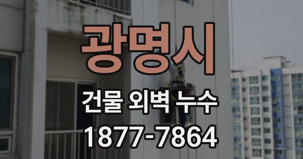 광명시 건물 외벽 누수