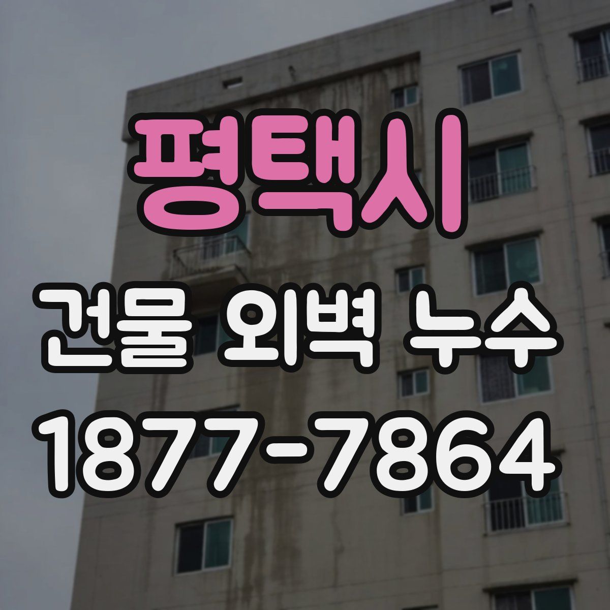 평택시 건물 외벽 누수