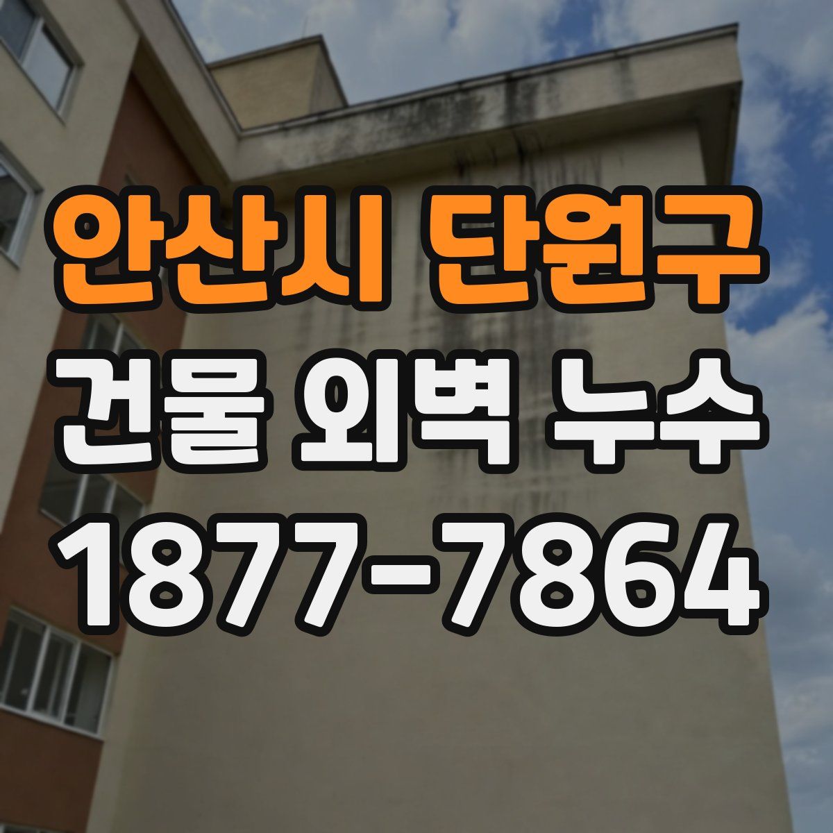 안산시 단원구 건물 외벽 누수
