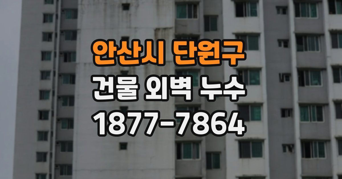 안산시 단원구 건물 외벽 누수