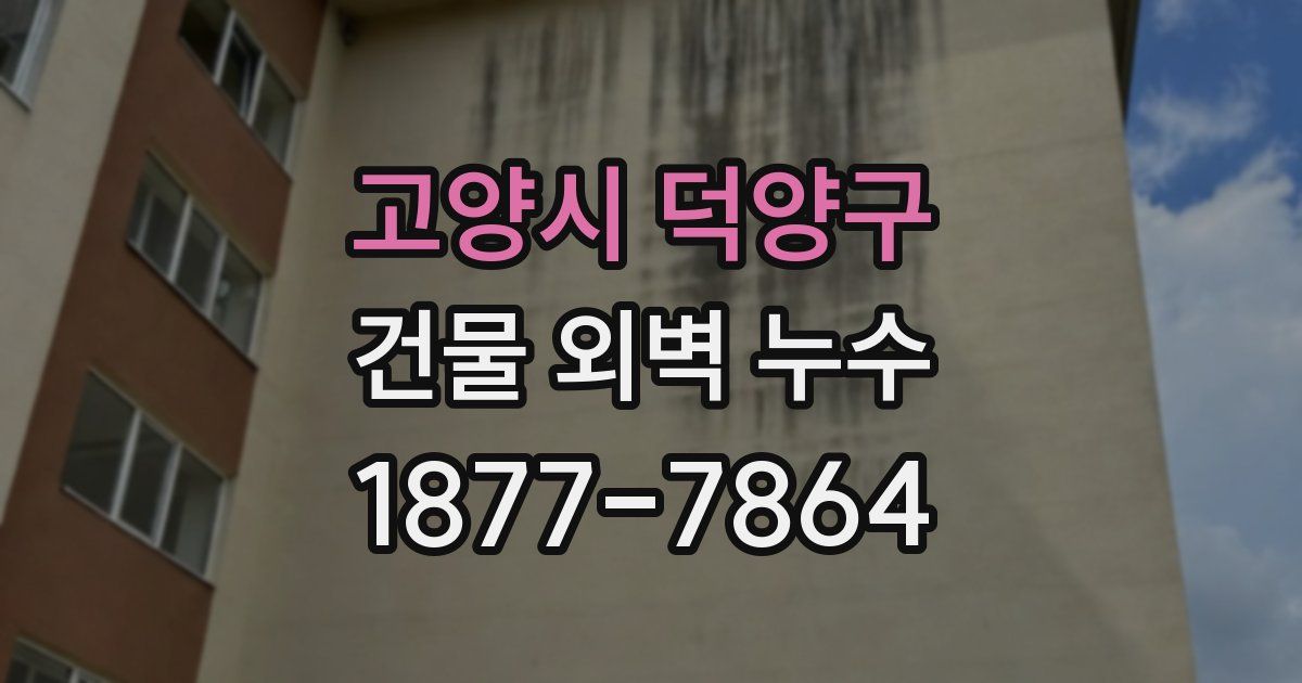 고양시 덕양구 건물 외벽 누수