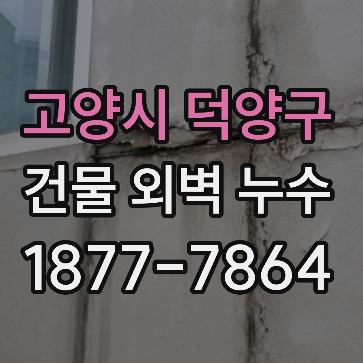 고양시 덕양구 건물 외벽 누수