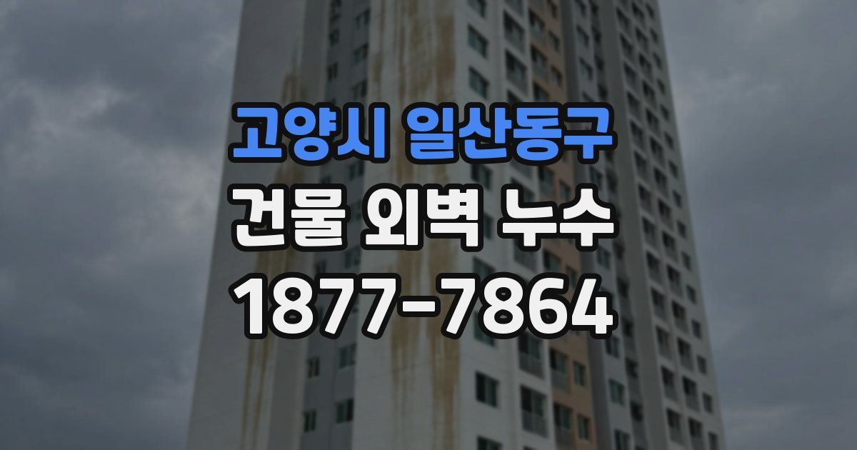 고양시 일산동구 건물 외벽 누수