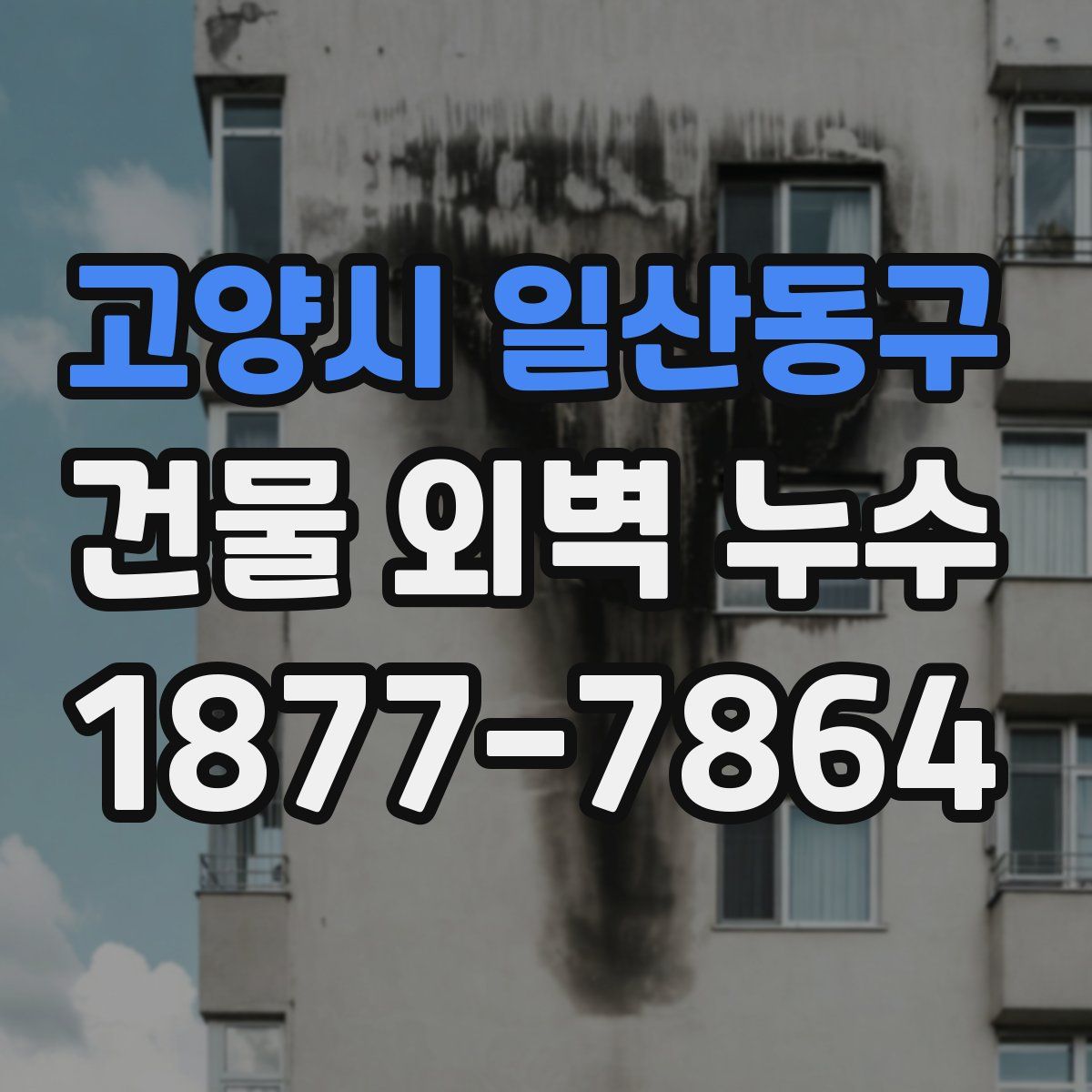 고양시 일산동구 건물 외벽 누수
