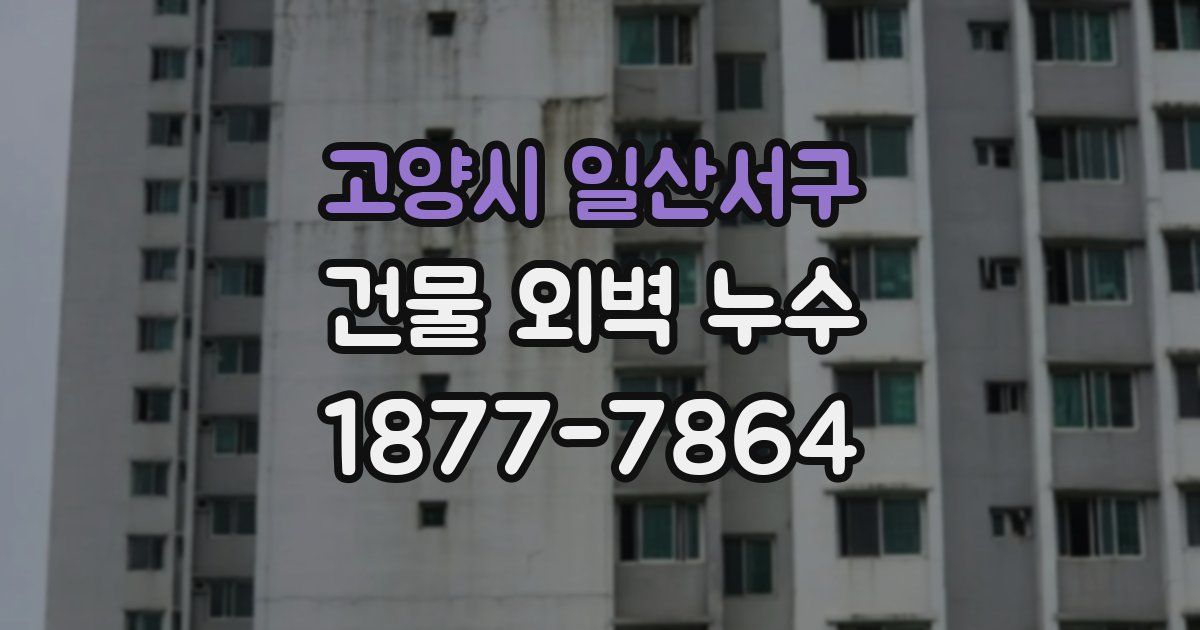 고양시 일산서구 건물 외벽 누수