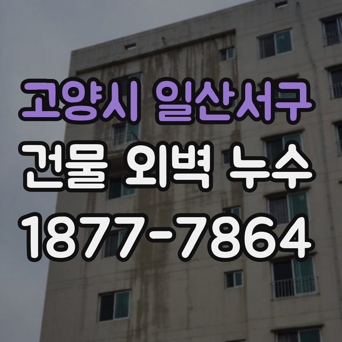 고양시 일산서구 건물 외벽 누수