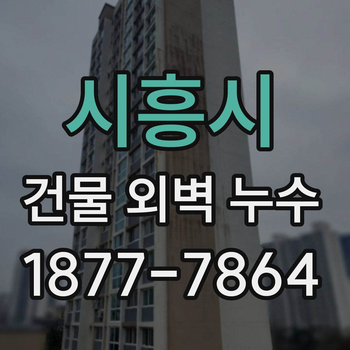 시흥시 건물 외벽 누수
