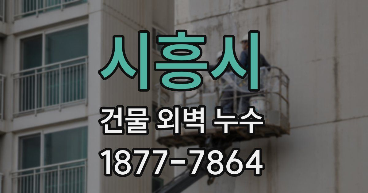 시흥시 건물 외벽 누수