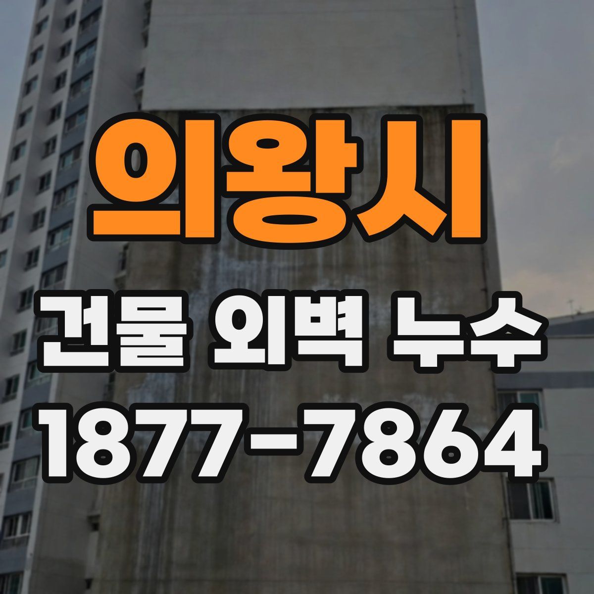 의왕시 건물 외벽 누수