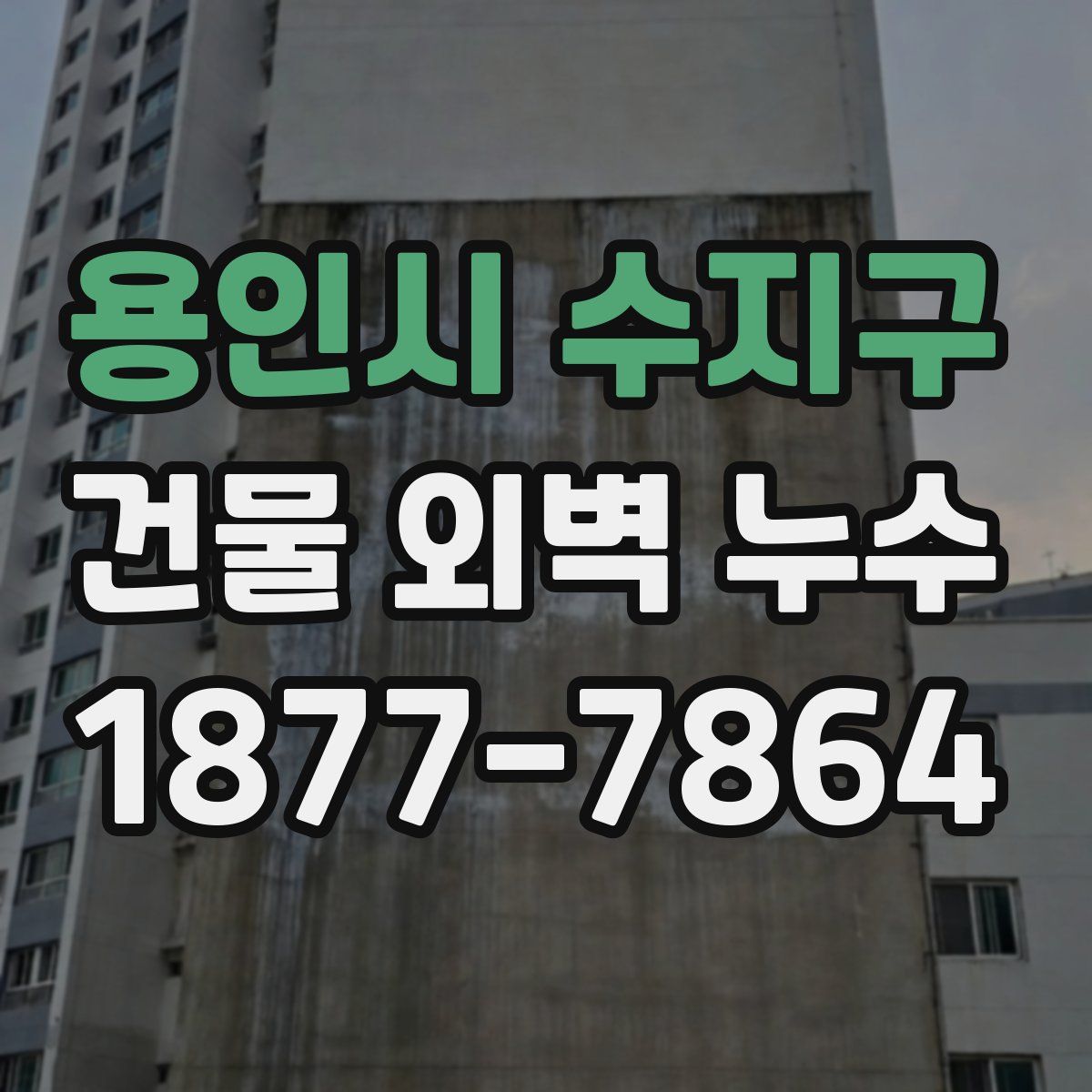 용인시 수지구 건물 외벽 누수