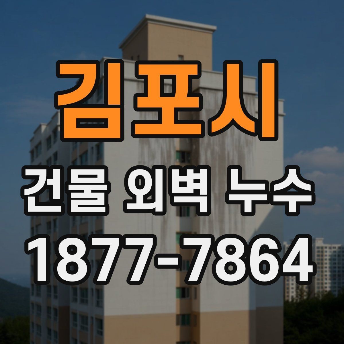 김포시 건물 외벽 누수 보수 방법 선택 가이드