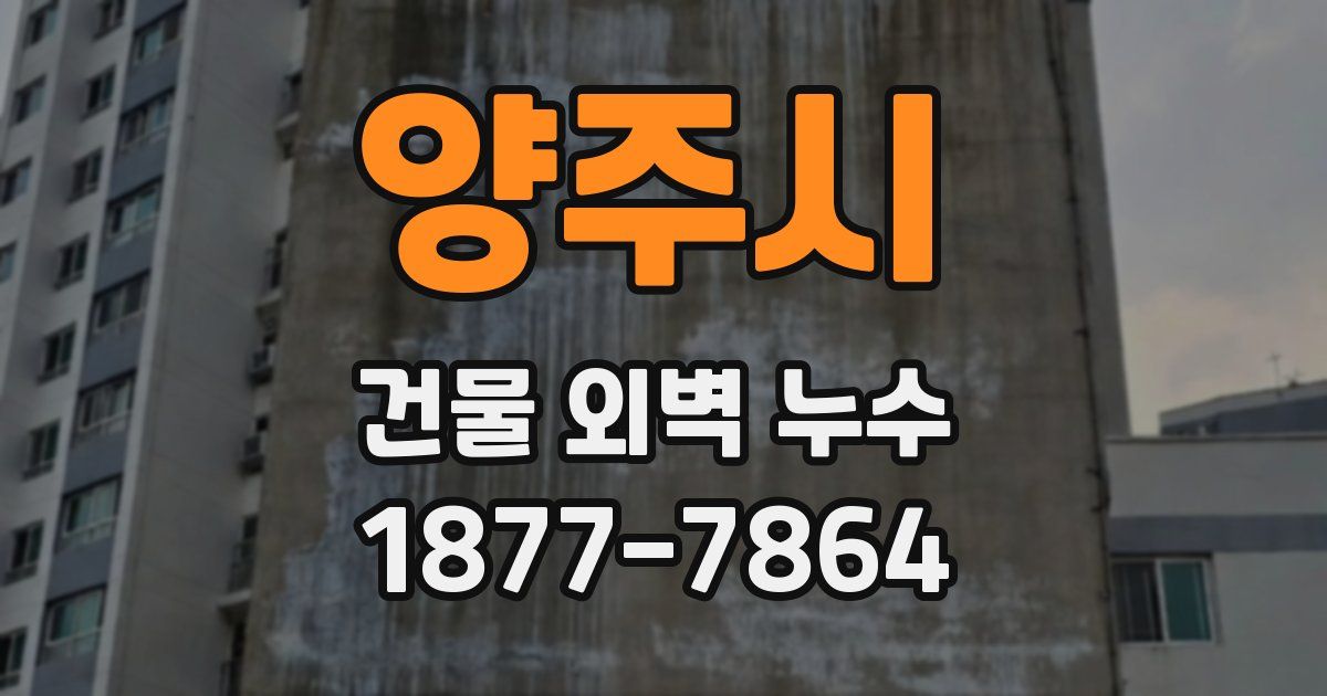 양주시 건물 외벽 누수