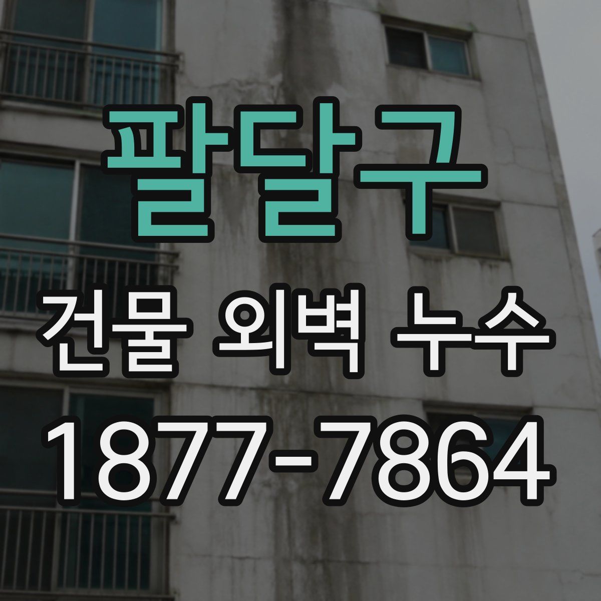 팔달구 건물 외벽 누수