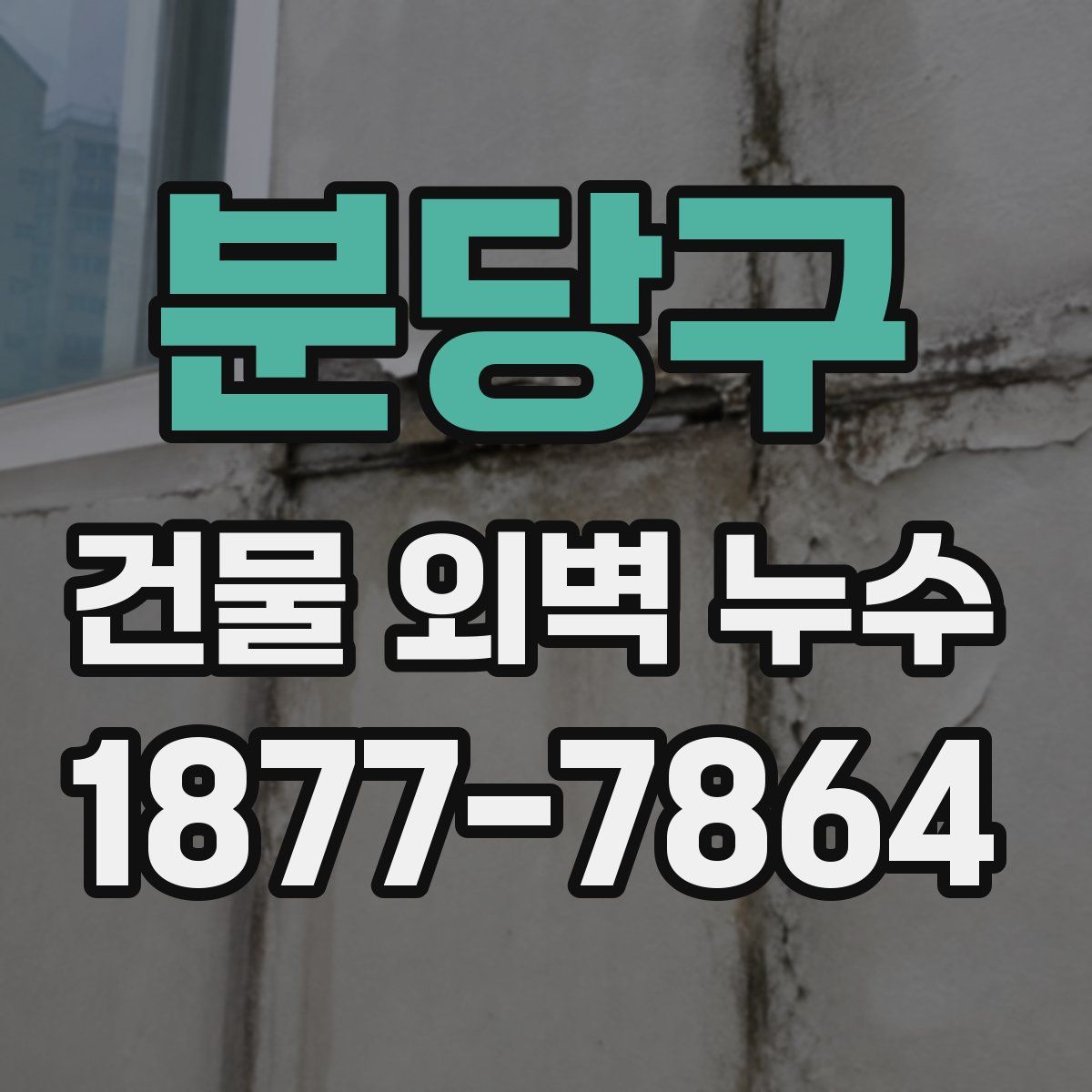 분당구 건물 외벽 누수
