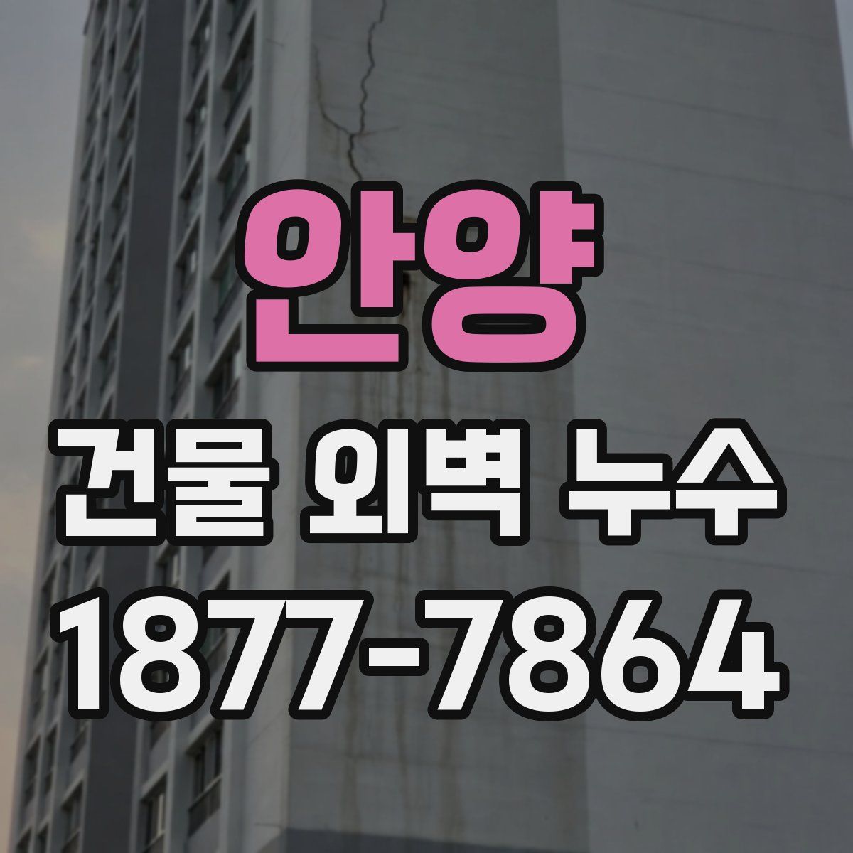 안양 건물 외벽 누수