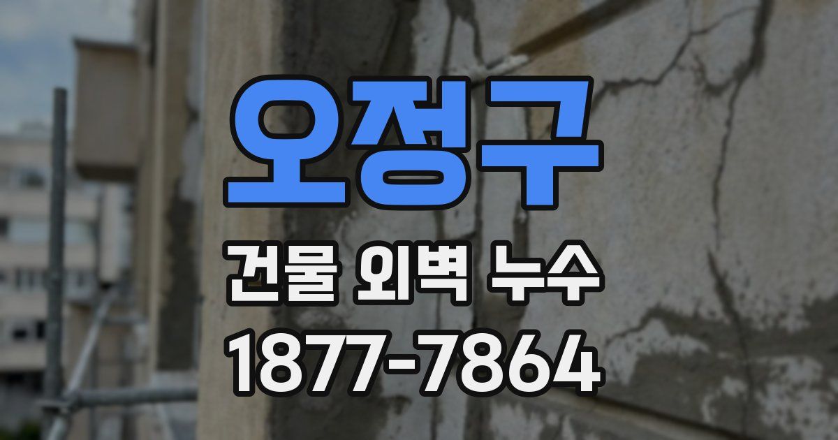 오정구 건물 외벽 누수
