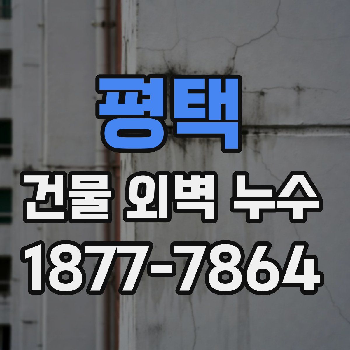 평택 건물 외벽 누수