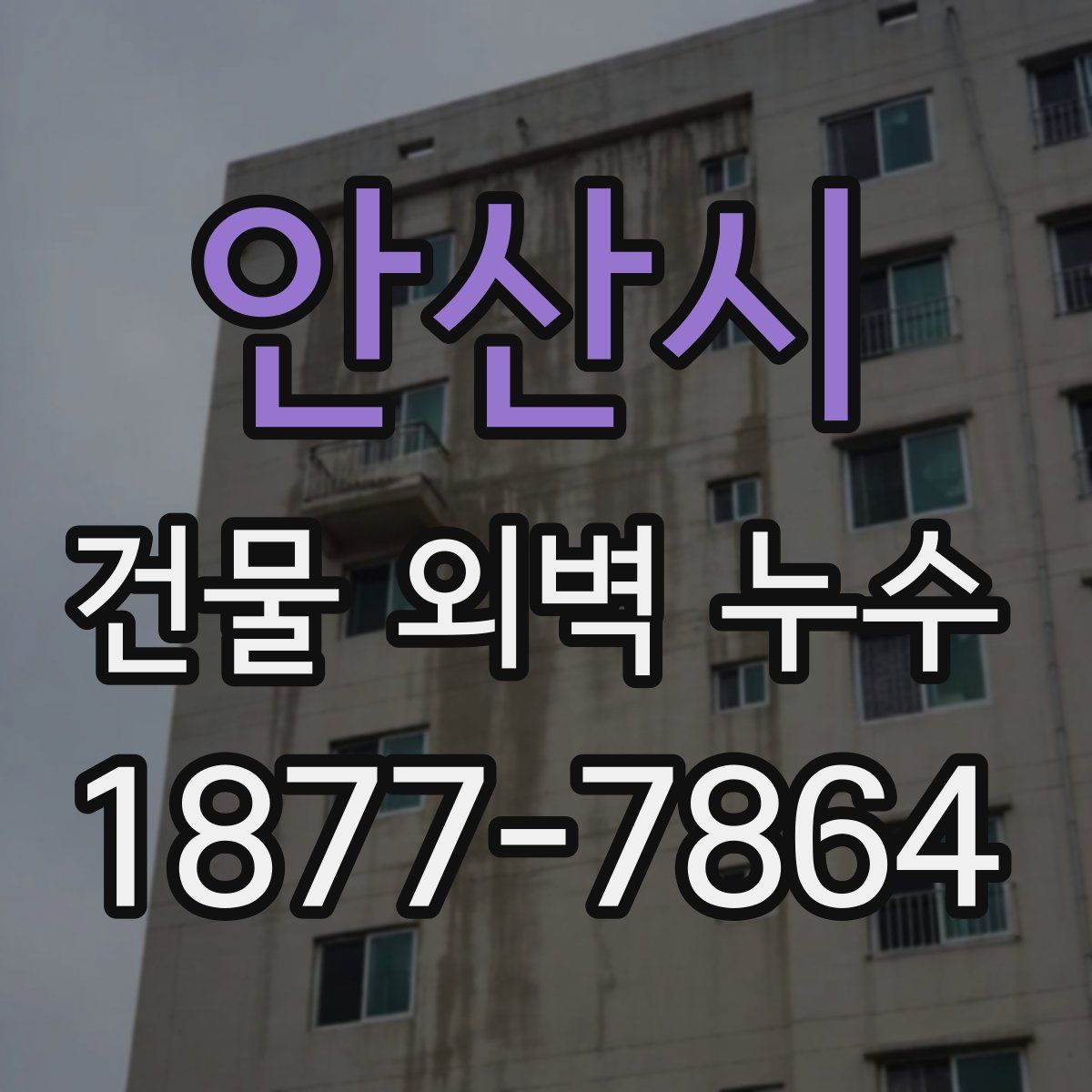 안산시 건물 외벽 누수