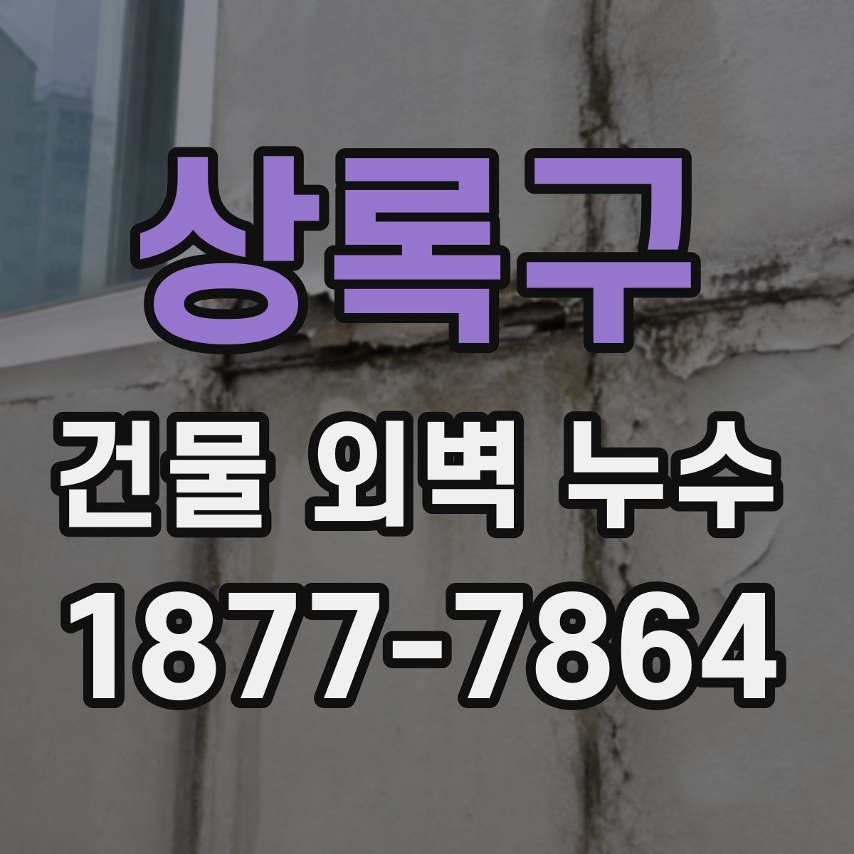 상록구 건물 외벽 누수