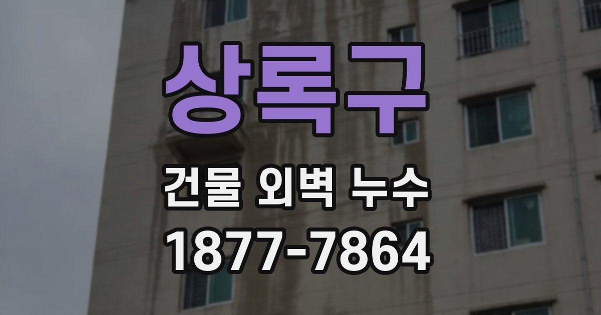 상록구 건물 외벽 누수