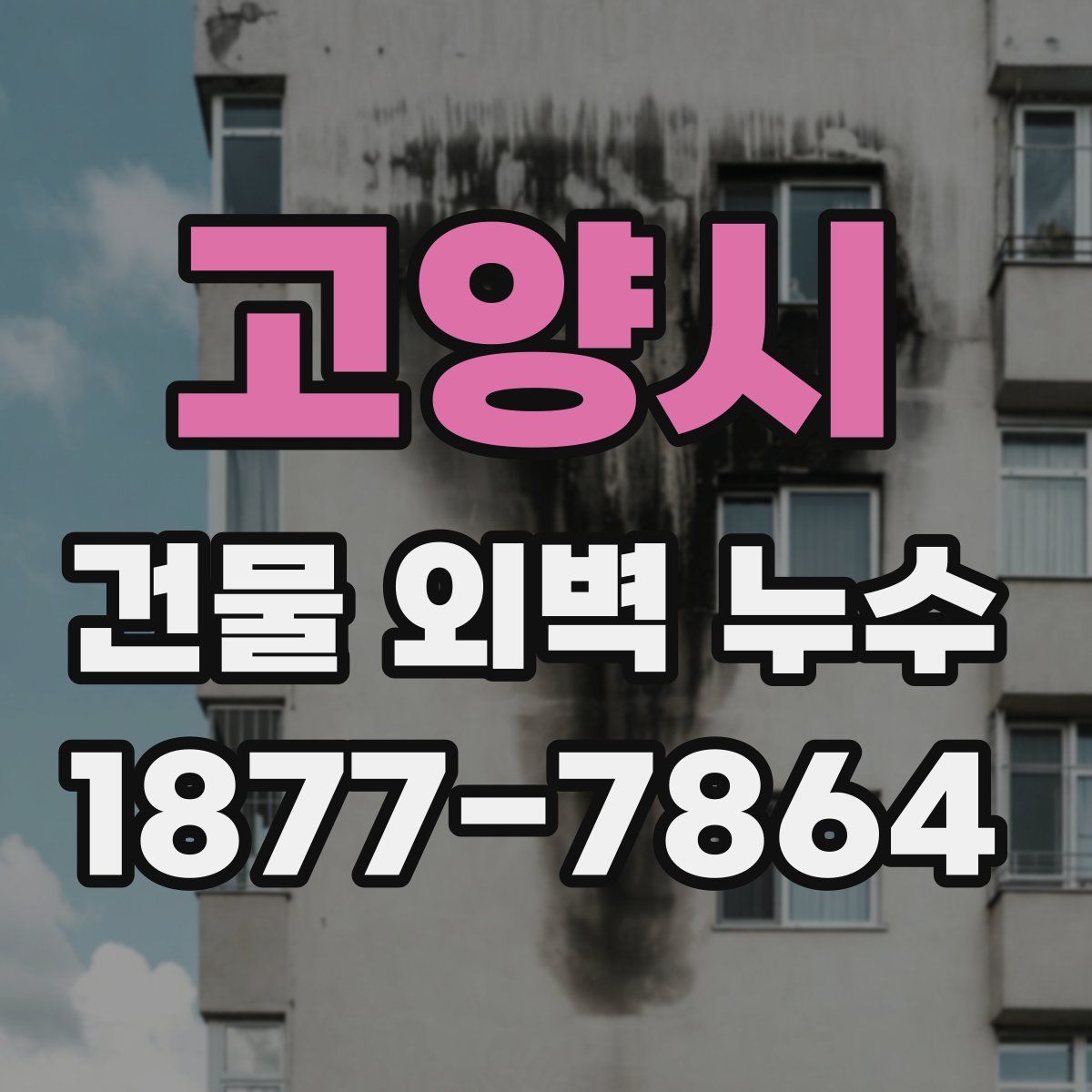 고양시 건물 외벽 누수