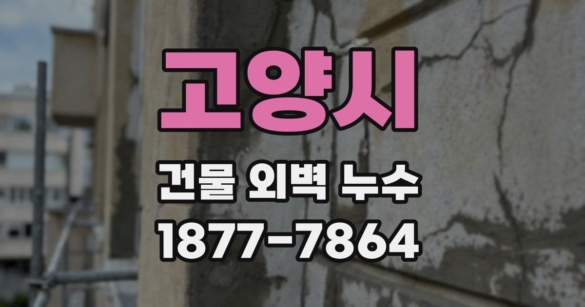 고양시 건물 외벽 누수