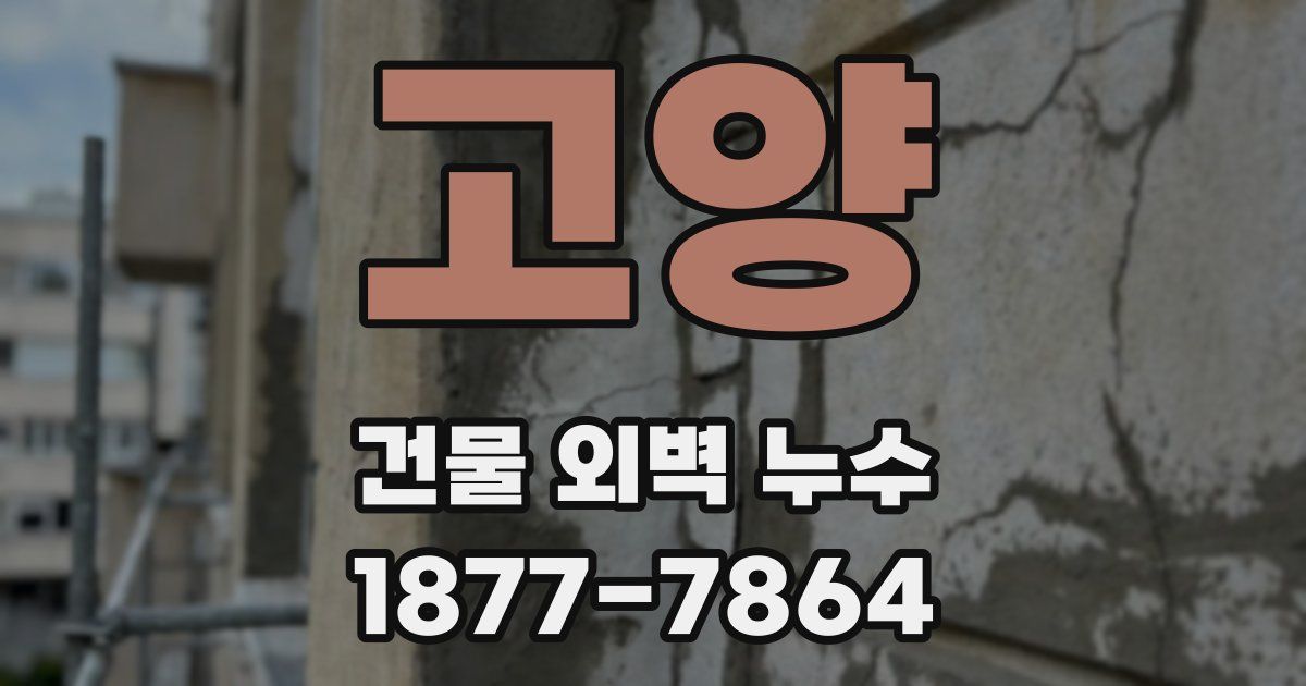 고양 건물 외벽 누수