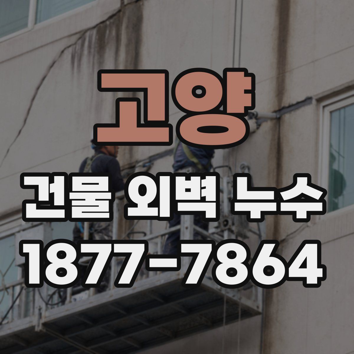 고양 건물 외벽 누수