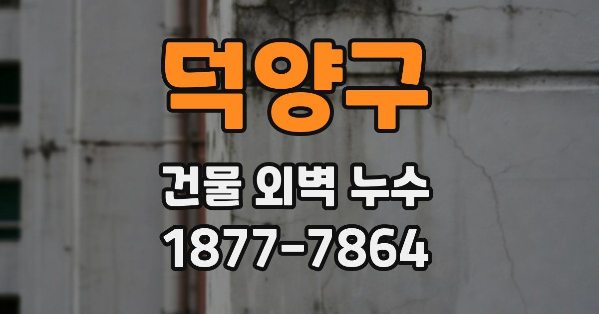 덕양구 건물 외벽 누수