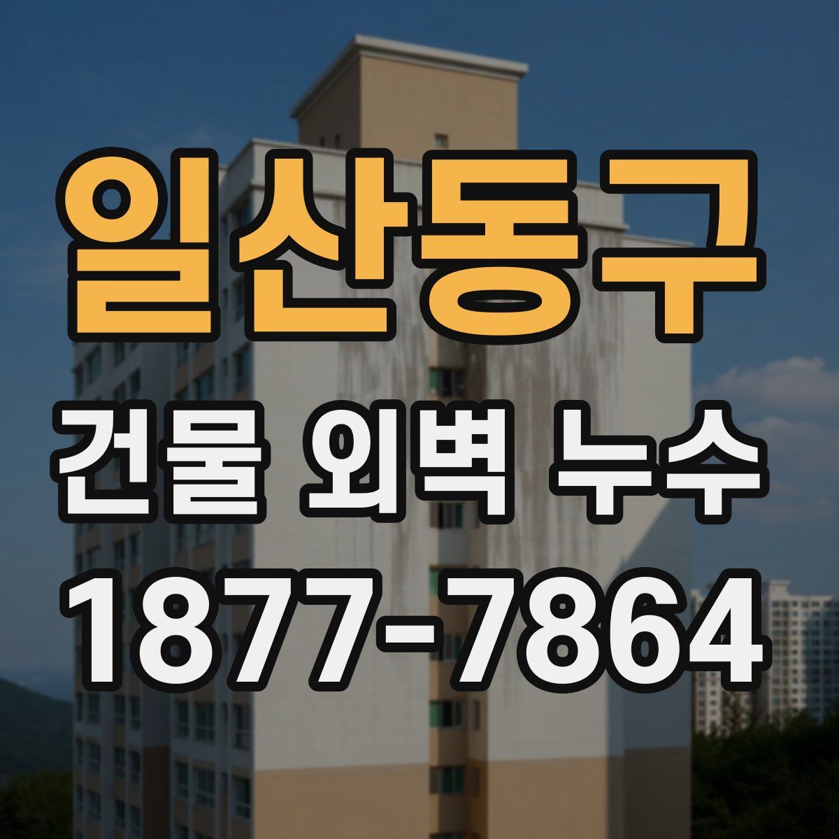 일산동구 건물 외벽 누수