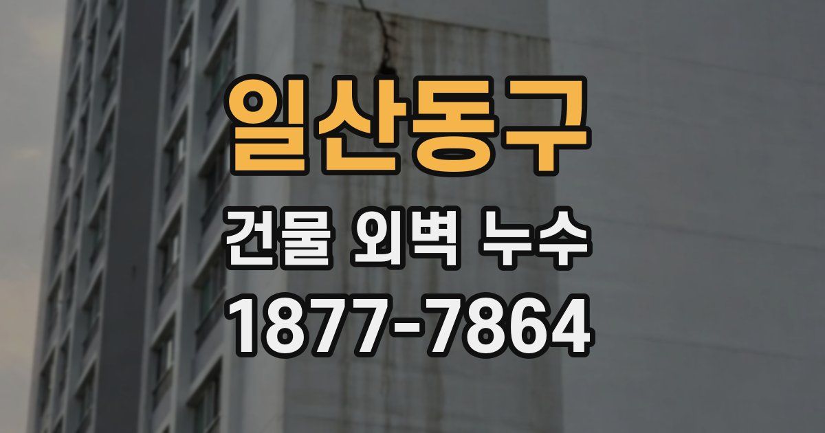 일산동구 건물 외벽 누수