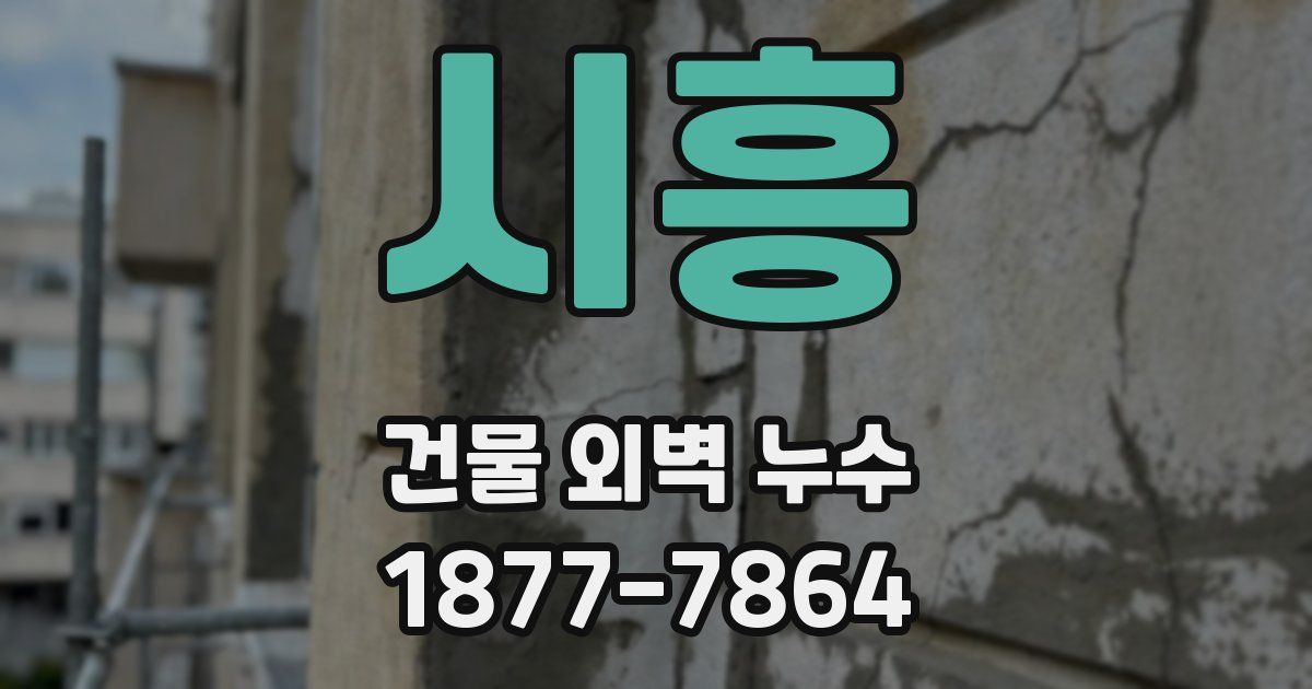 시흥 건물 외벽 누수