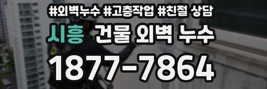 시흥 건물 외벽 누수