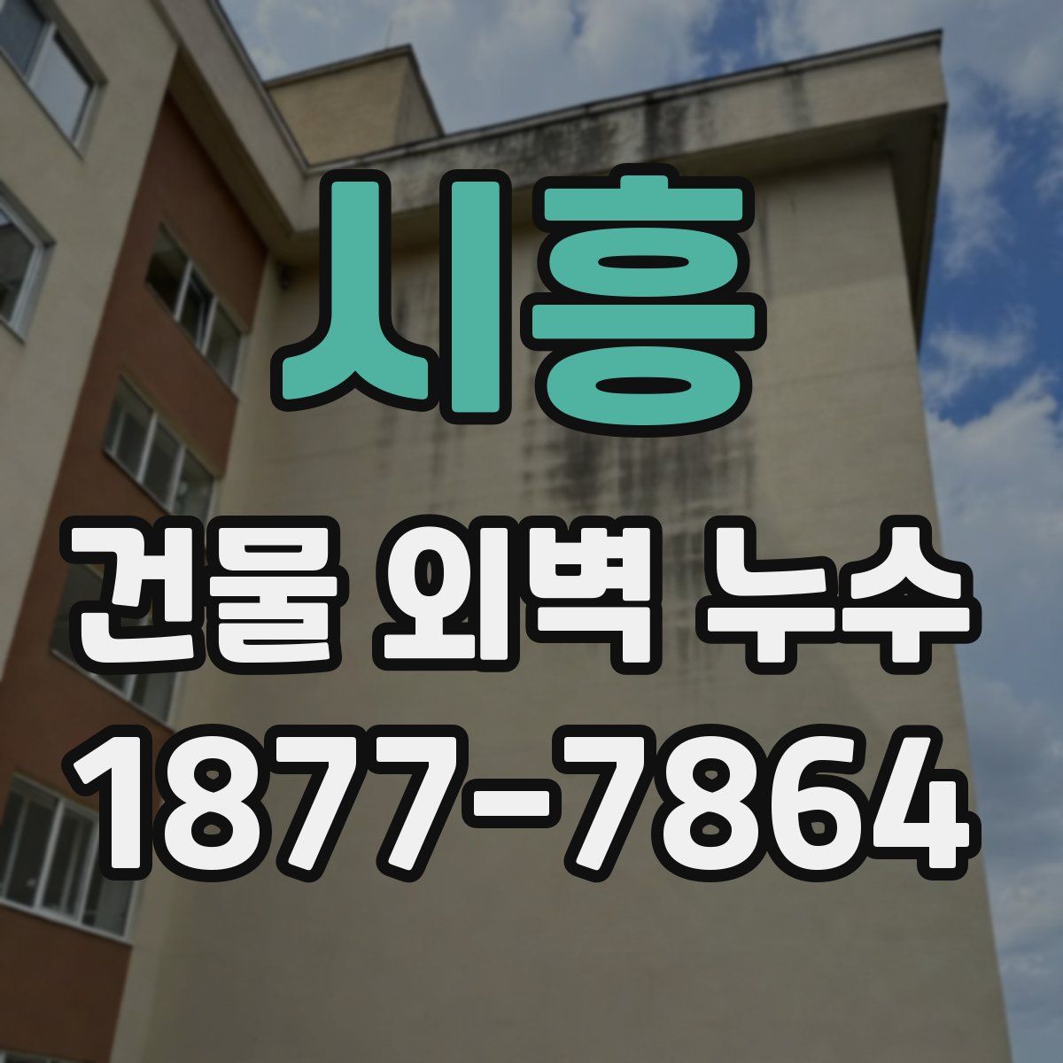 시흥 건물 외벽 누수