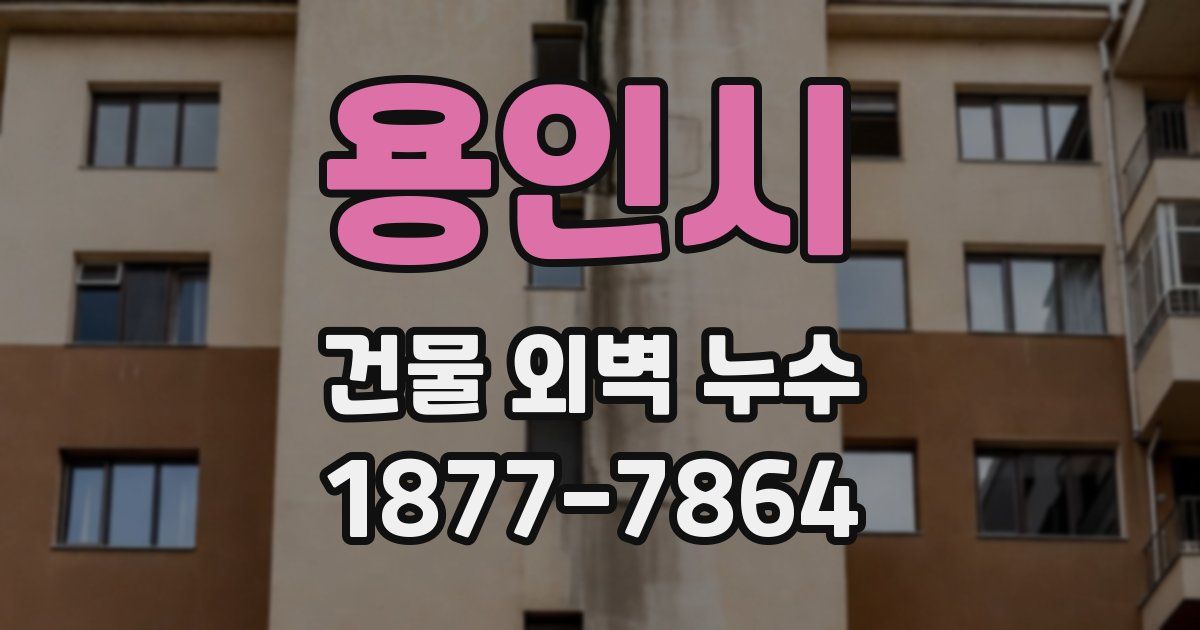 용인시 건물 외벽 누수