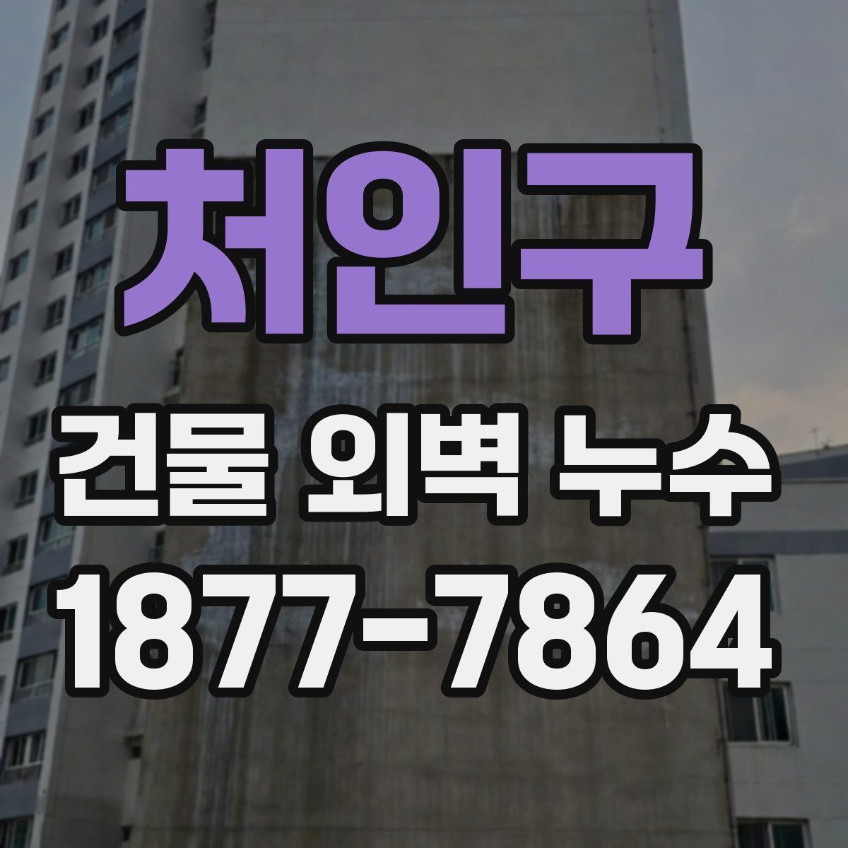 처인구 건물 외벽 누수 보수 전 견적 비교 기준