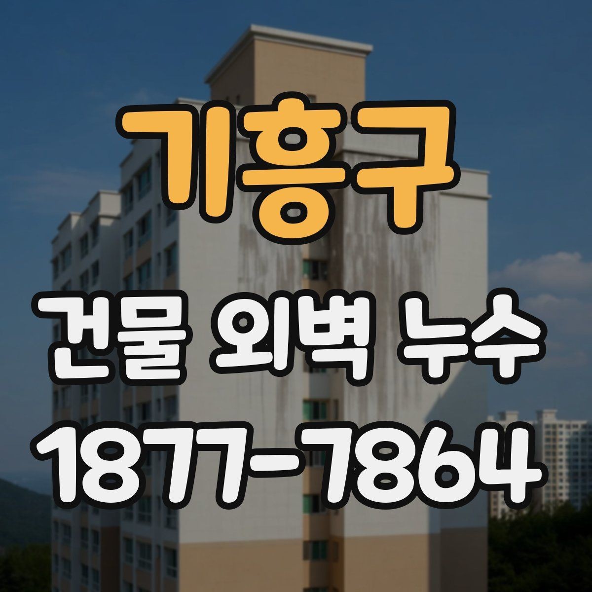 기흥구 건물 외벽 누수 사례에서 배울 점