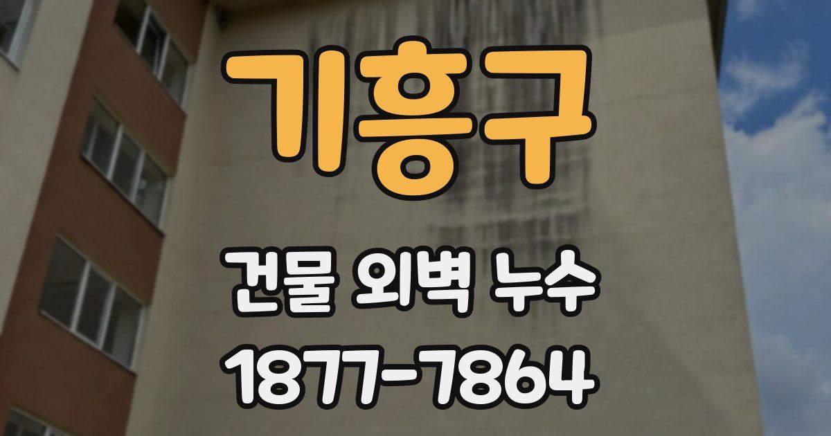 기흥구 건물 외벽 누수