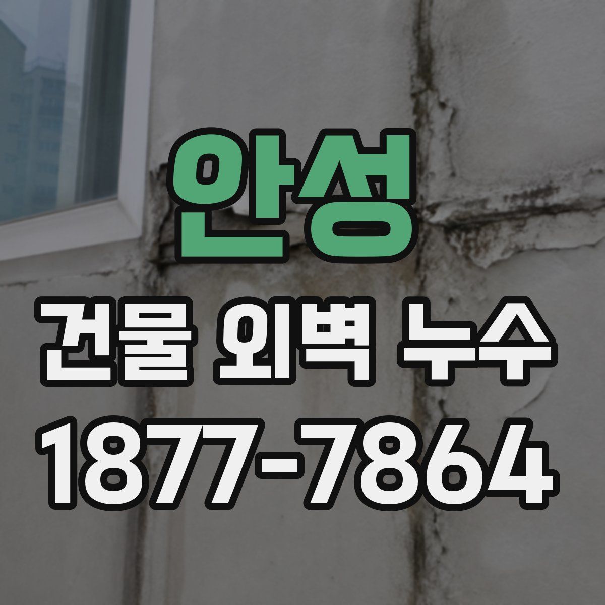 안성 건물 외벽 누수
