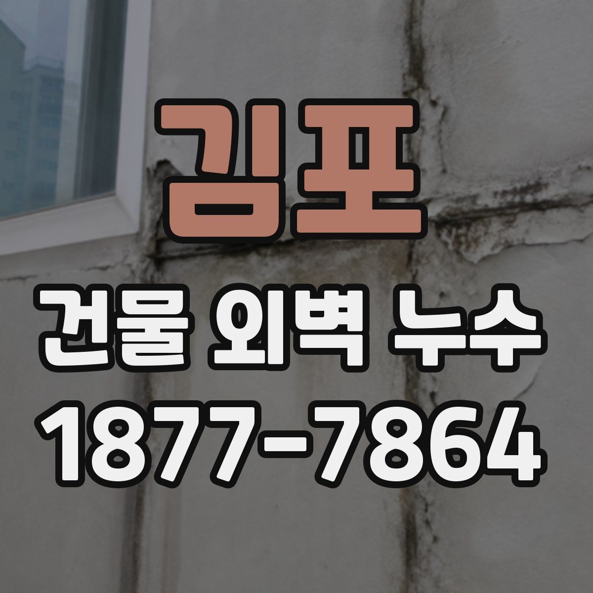 김포 건물 외벽 누수