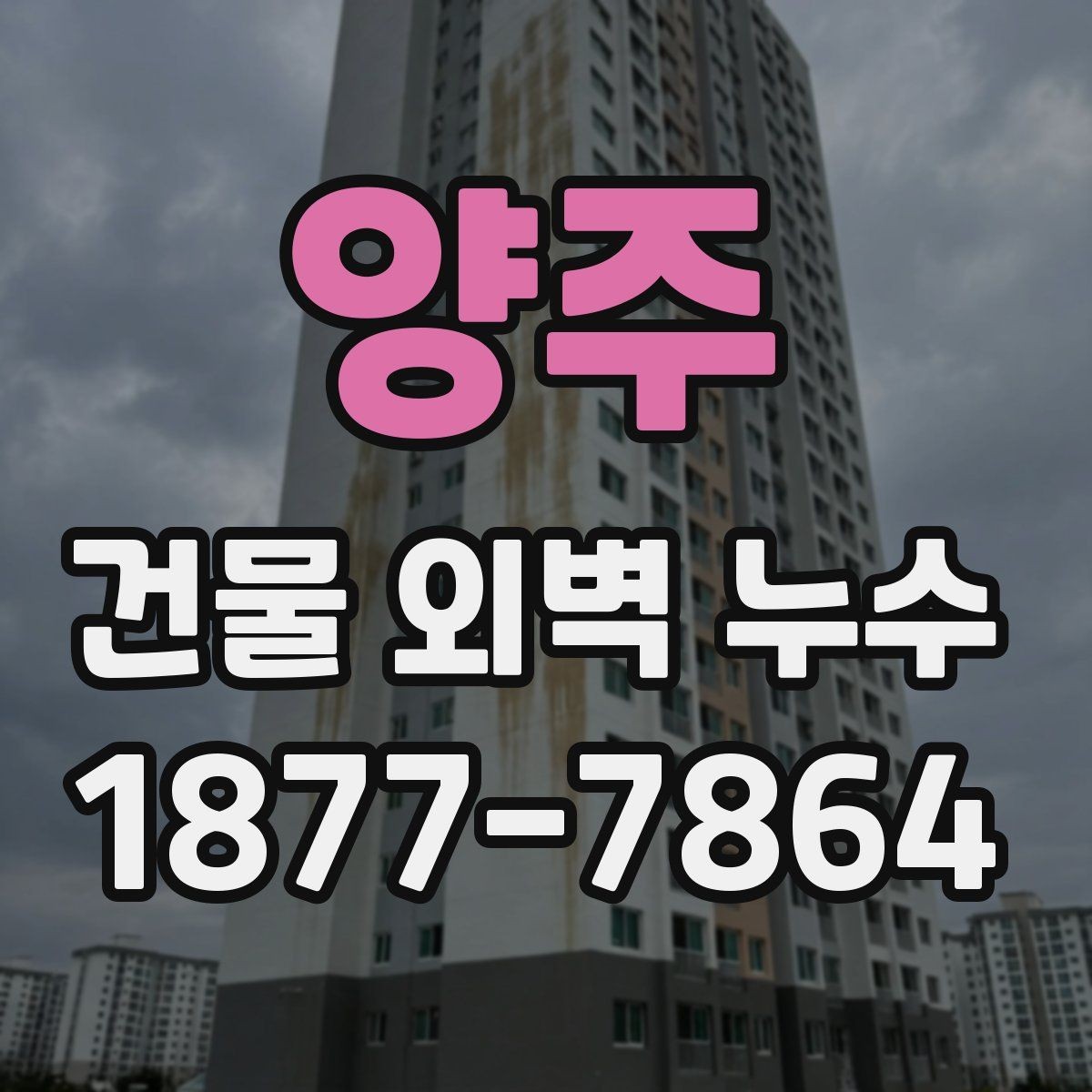 양주 건물 외벽 누수 관리에서 놓치기 쉬운 부분