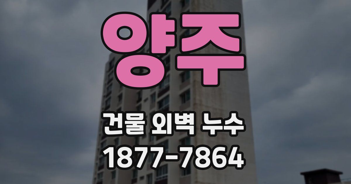 양주 건물 외벽 누수