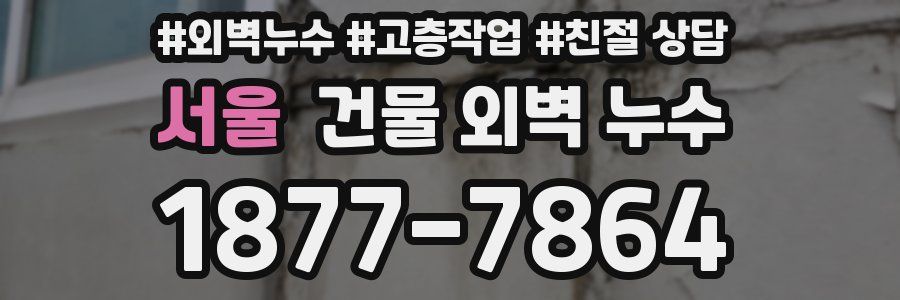 서울 건물 외벽 누수
