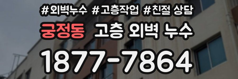 궁정동 고층 외벽 누수