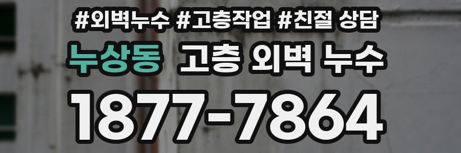 누상동 고층 외벽 누수