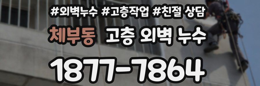 체부동 고층 외벽 누수