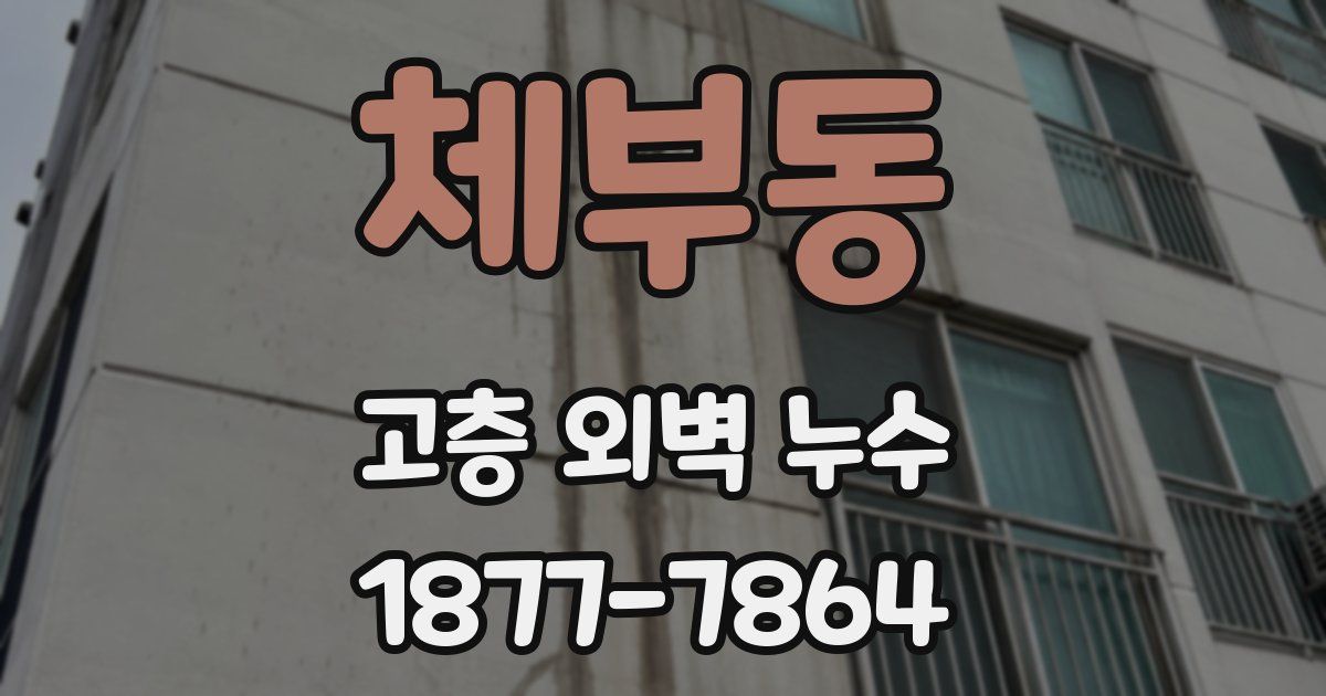 체부동 고층 외벽 누수
