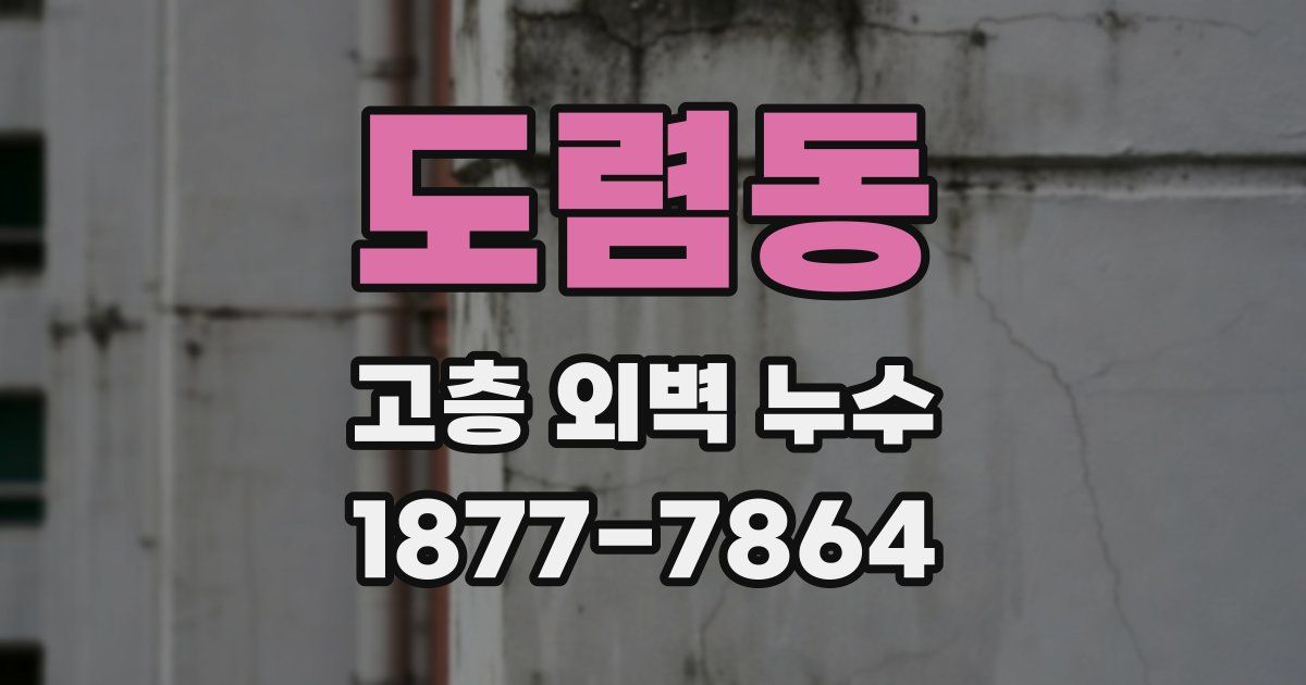 도렴동 고층 외벽 누수