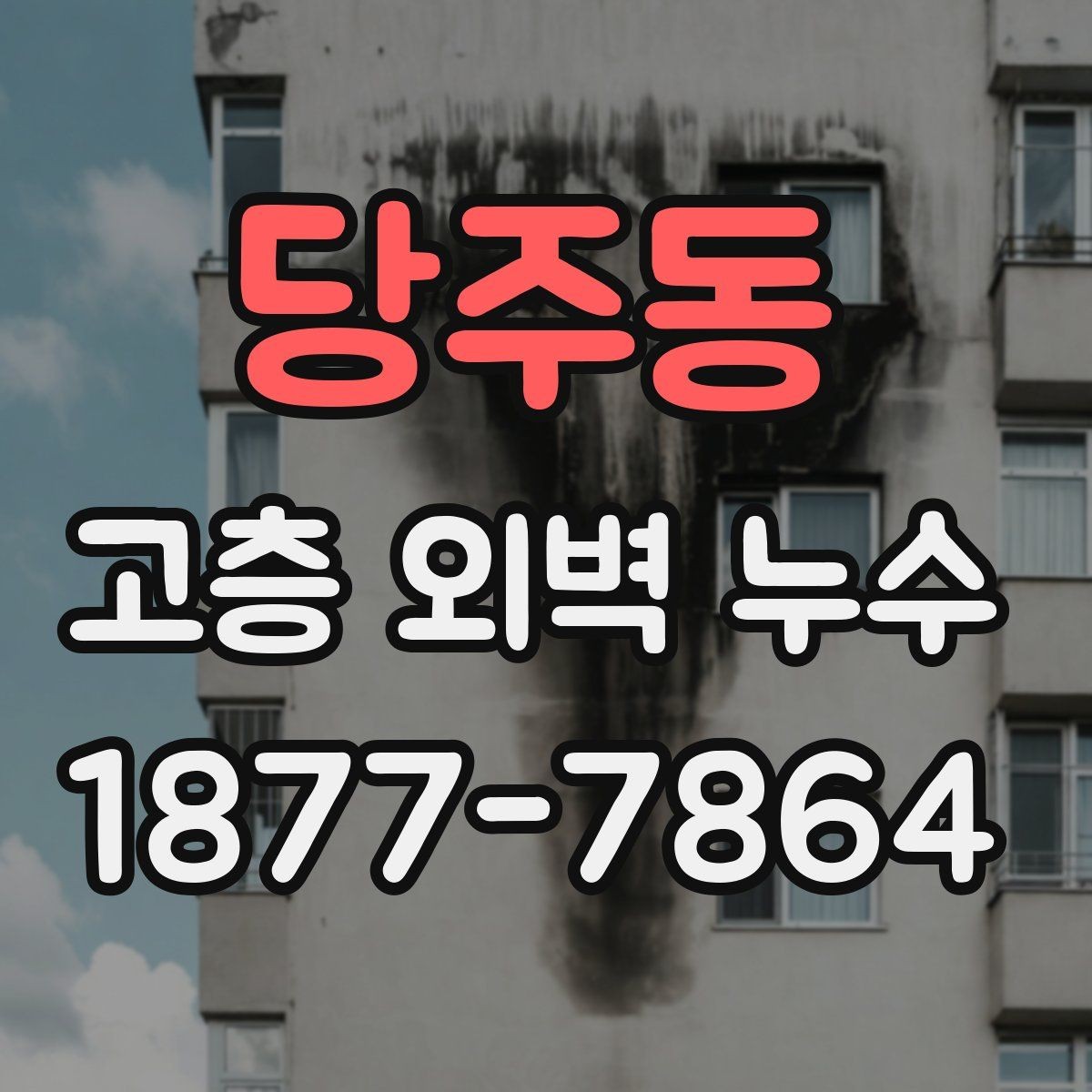 당주동 고층 외벽 누수 발생 위치에 따른 원인 추정