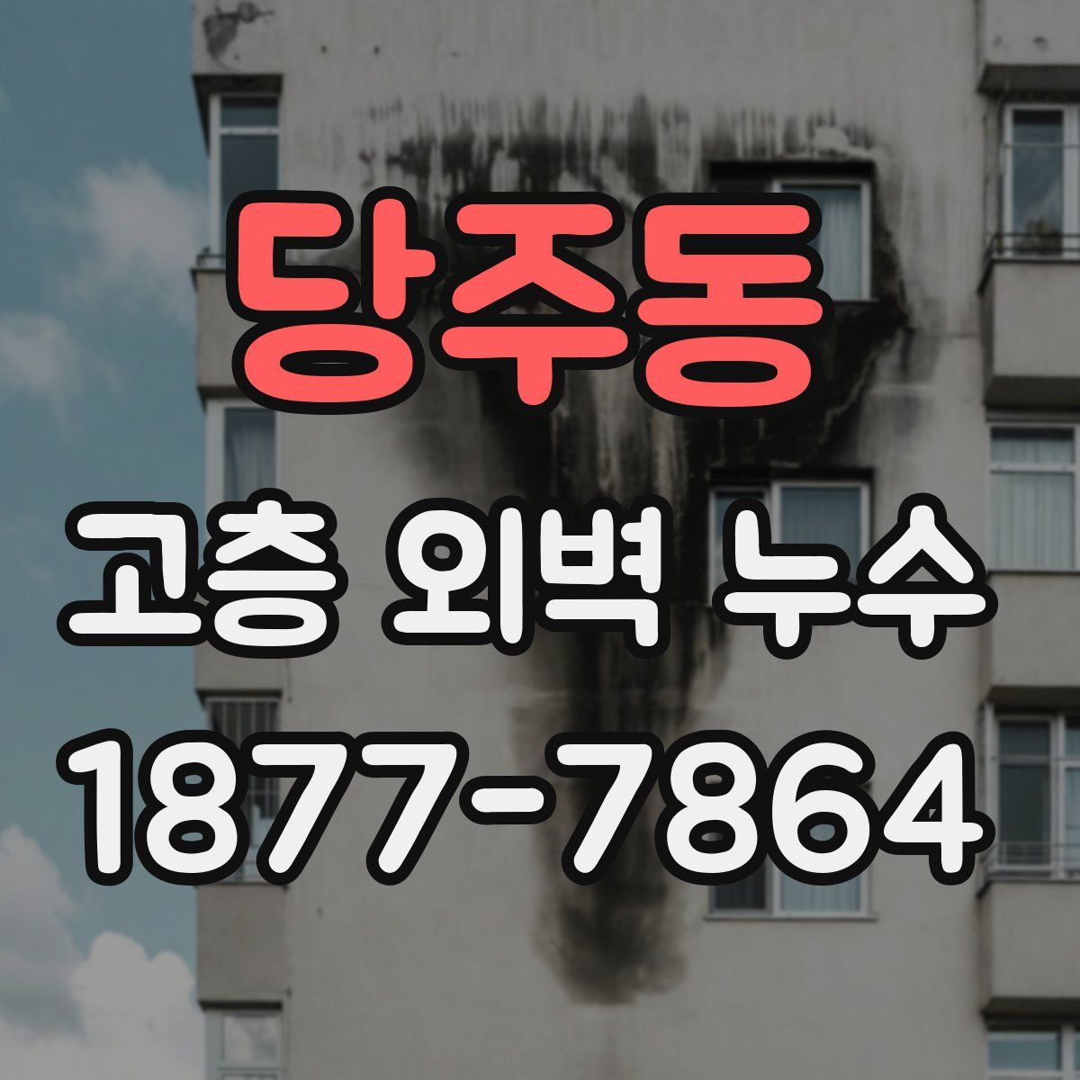 당주동 고층 외벽 누수